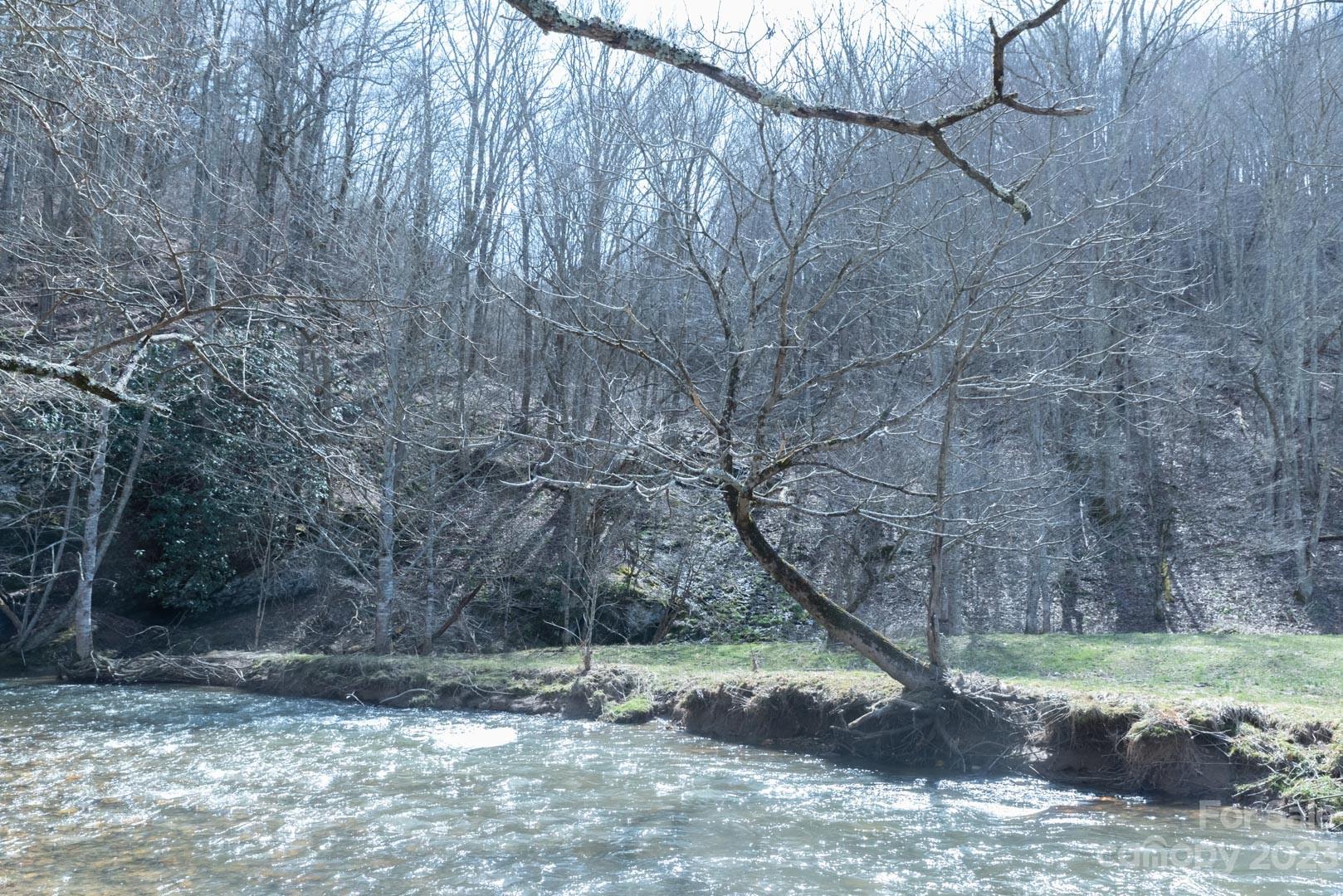 a backyard of a house with large trees and a wooden fence