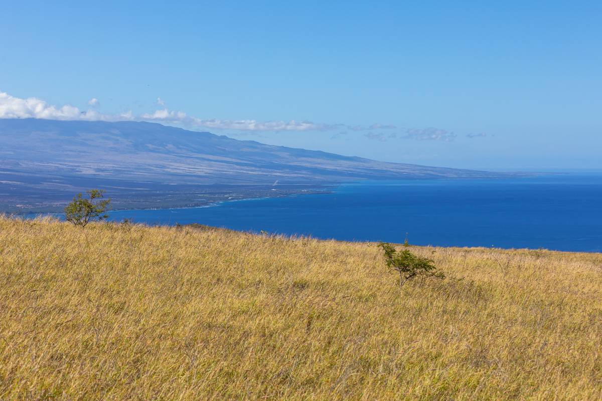 View from the Conceptual Build Site