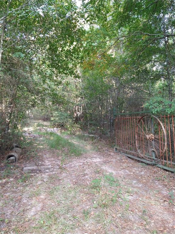 a view of backyard with green space