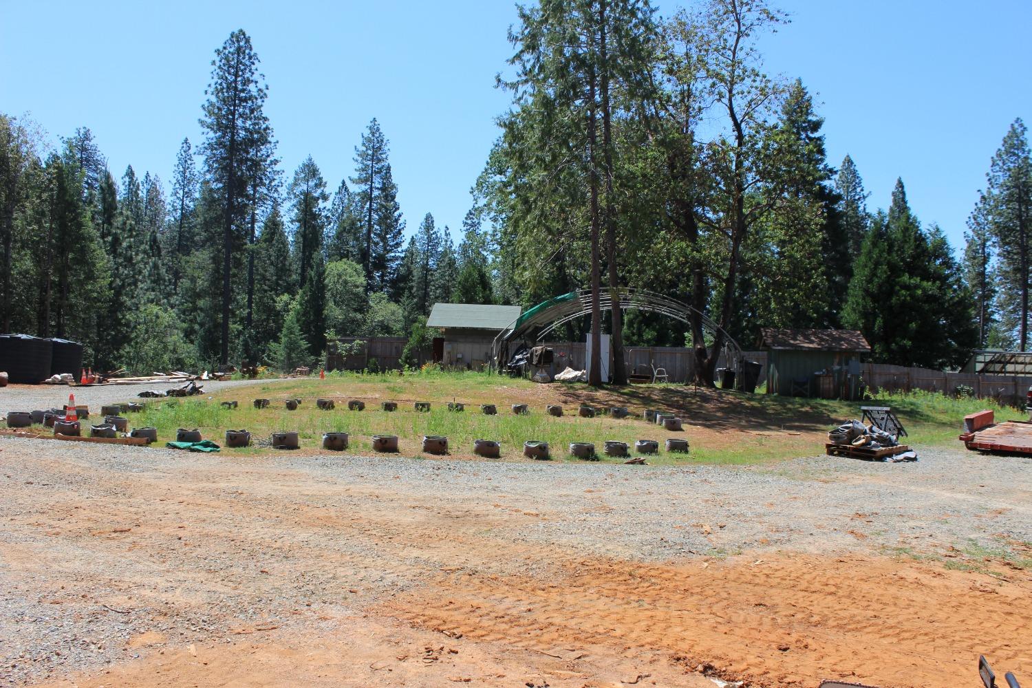 a view of a park with plants and trees