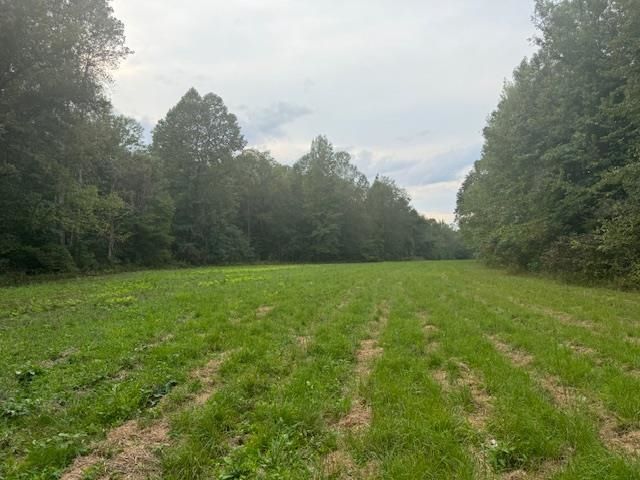 $567,000 | 100 Hwy Medon Tn 38356