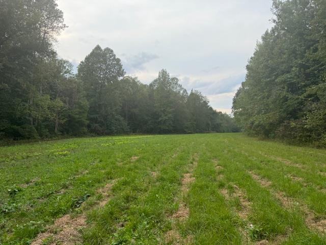 a view of a outdoor space with green field and trees