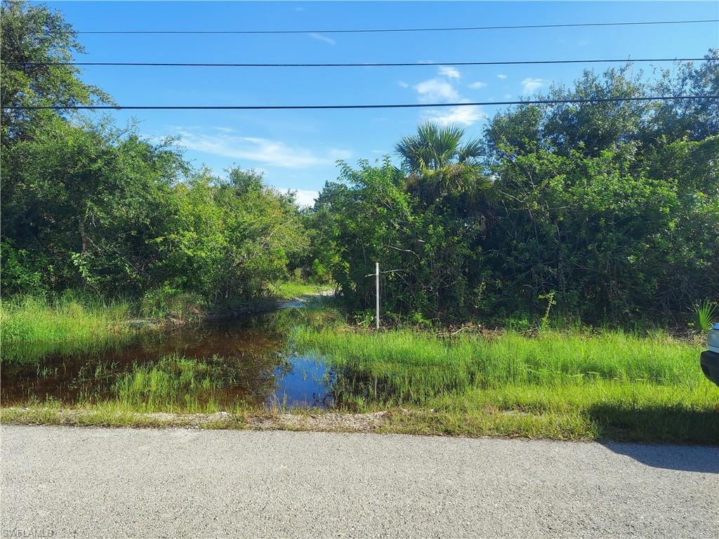 a view of a yard