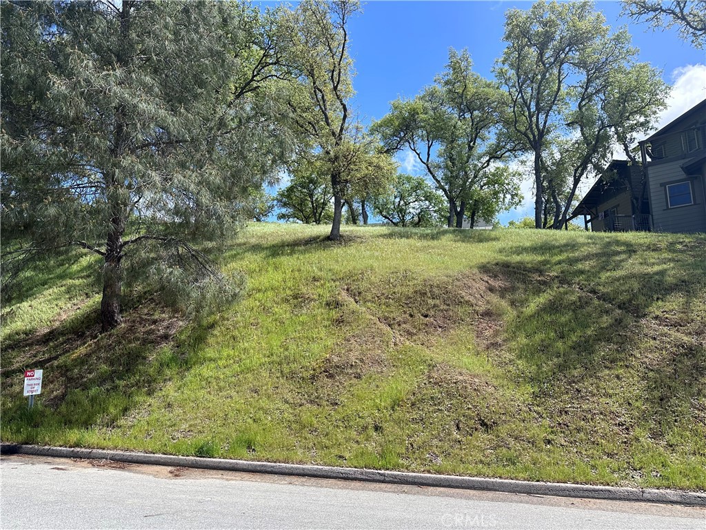 a view of backyard with green space