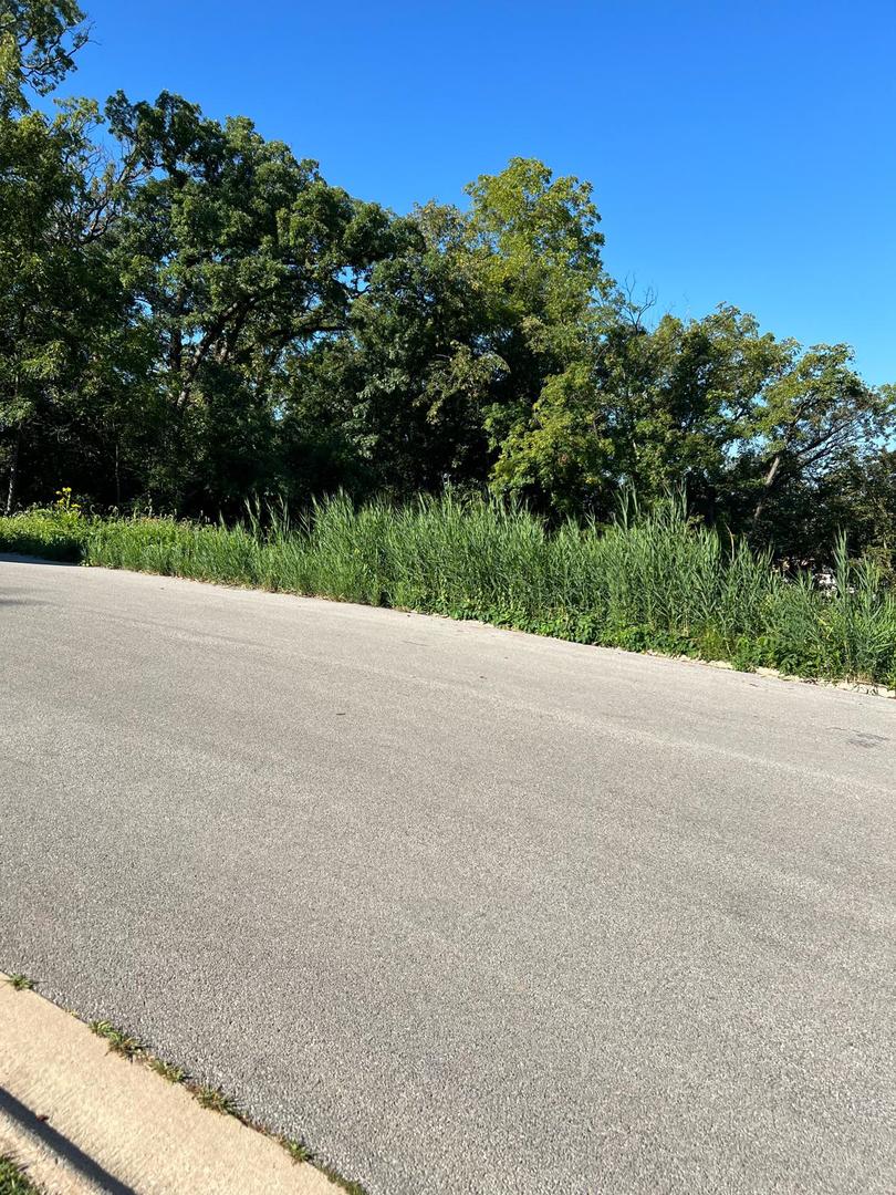 a view of a road with a garden