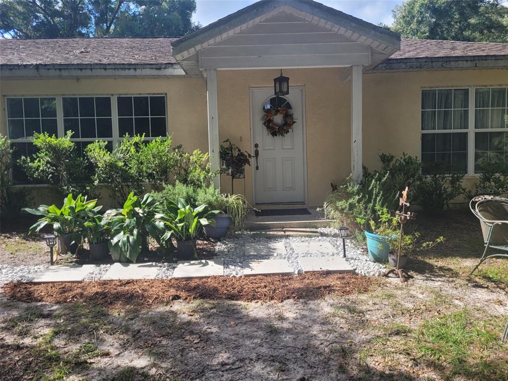 a view of a front door and a potted plant