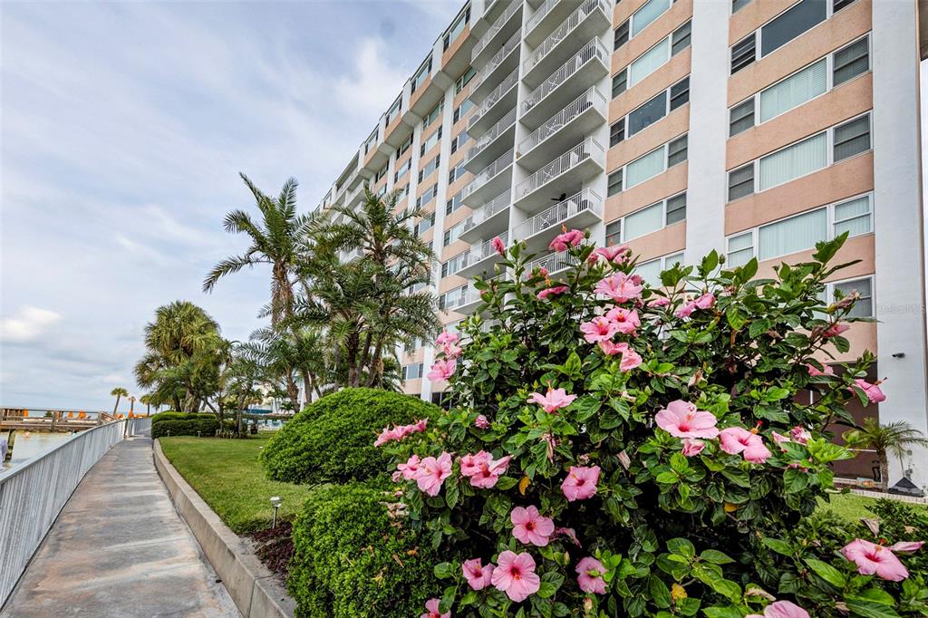 a flower plants in front of building