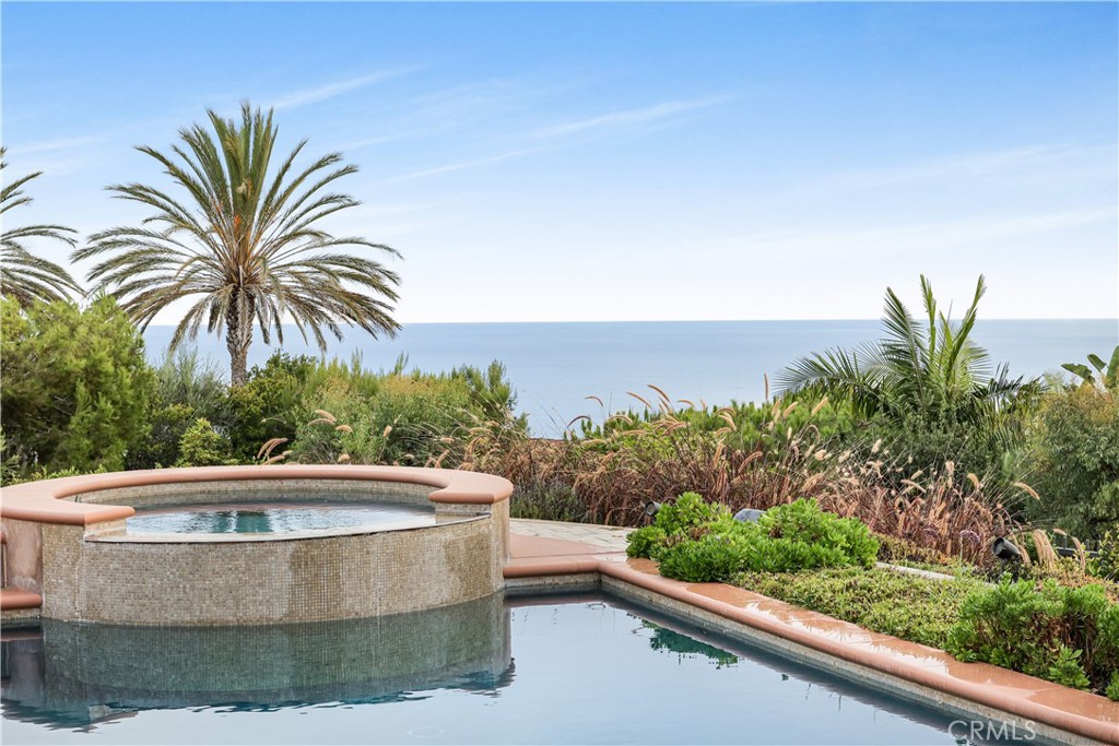 a view of swimming pool with outdoor seating and plants