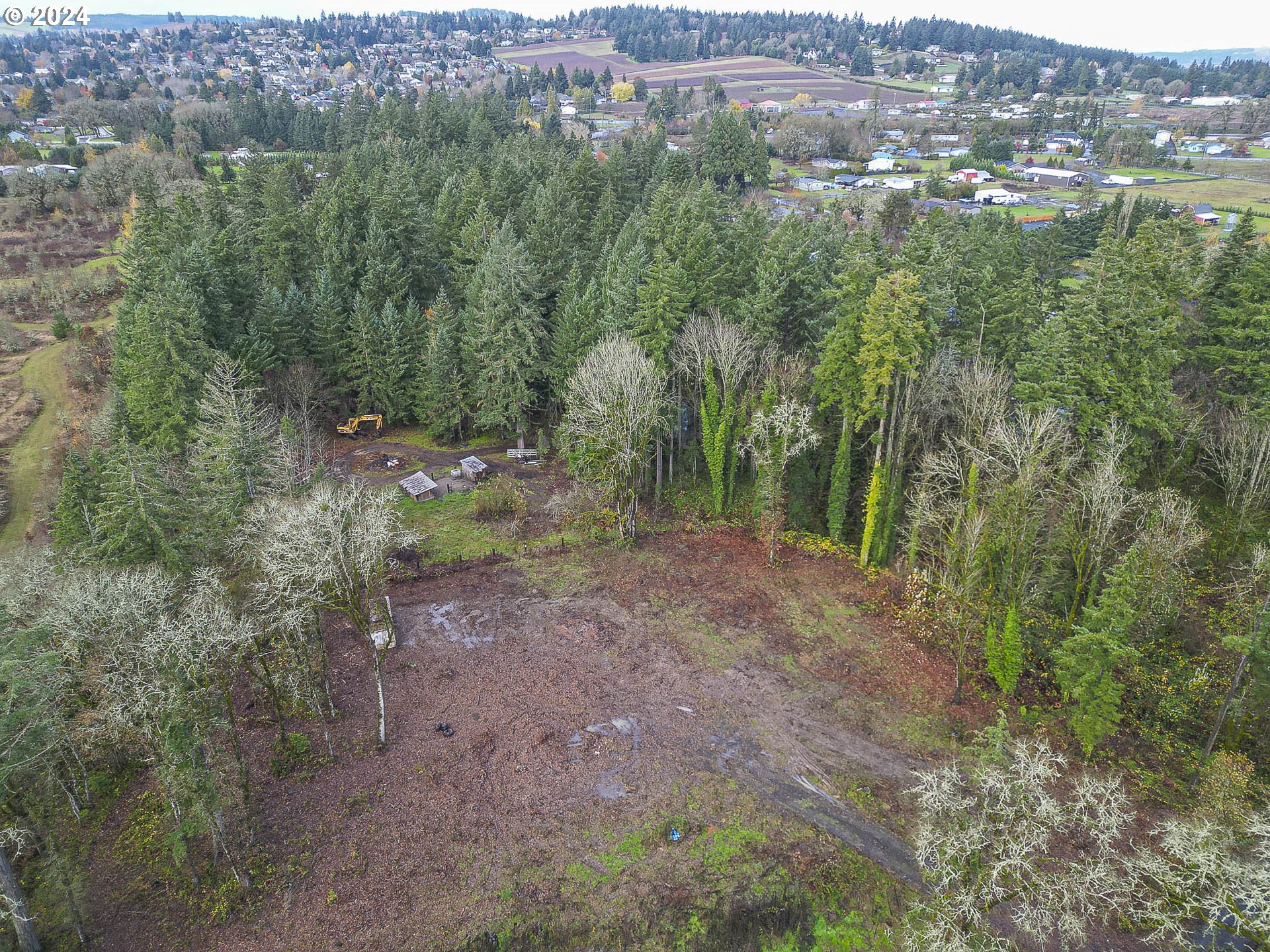 a view of a forest with trees in the background