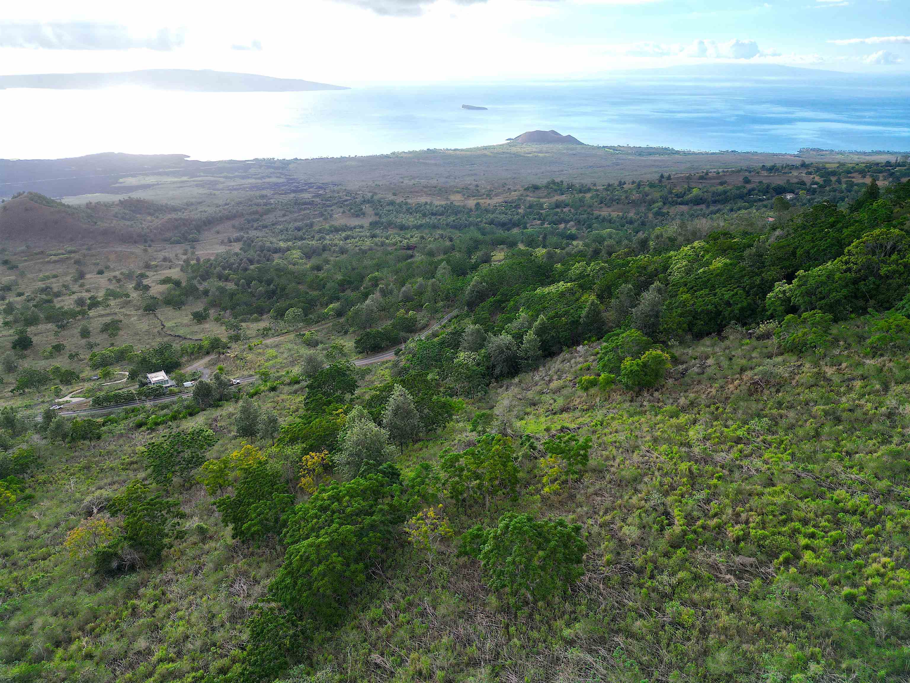 a view of a city with lush green forest