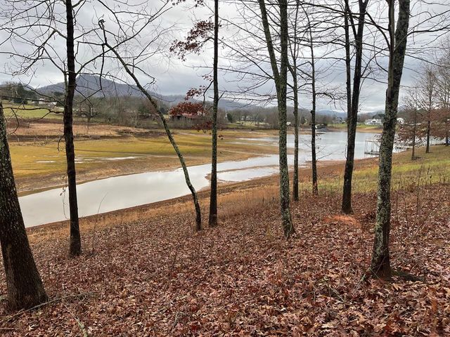 $349,000 | Lot 24 Arden Lane | Shooting Creek Township - Clay County