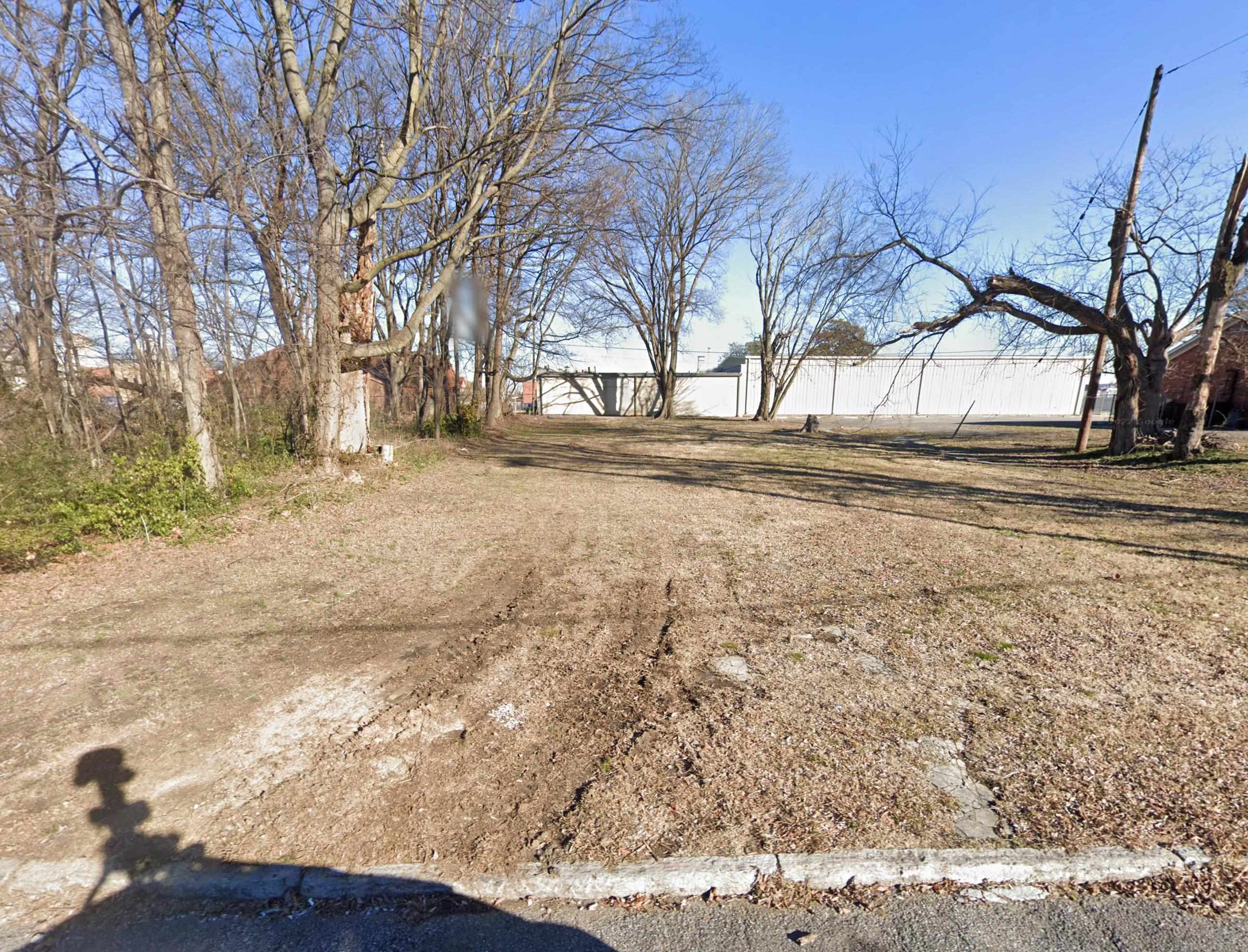 a view of a yard with trees