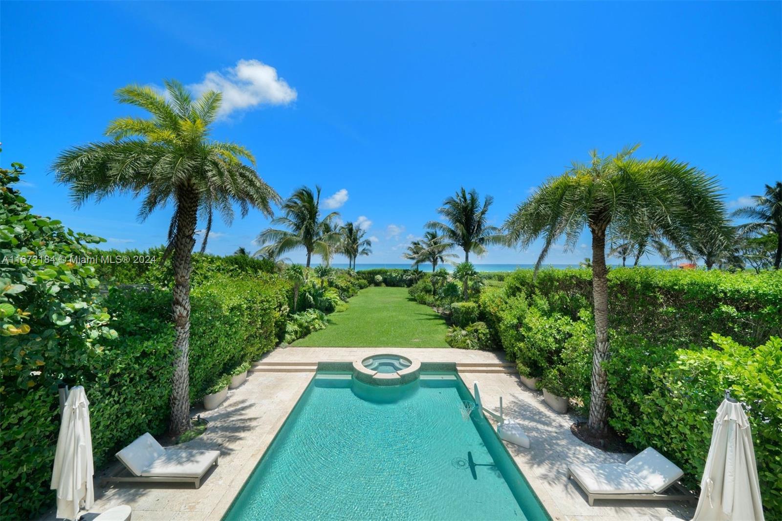 a view of a backyard with potted plants