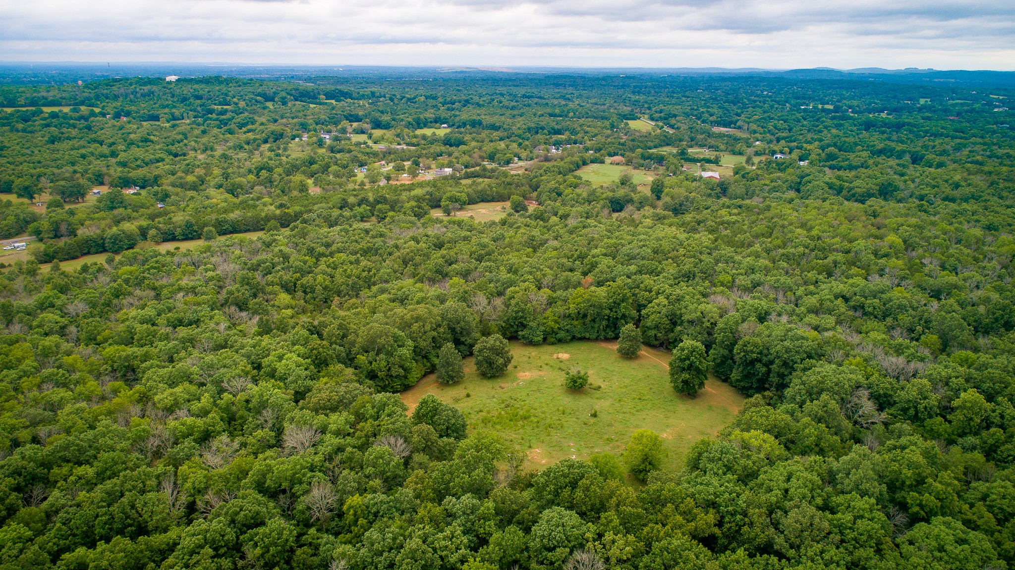 a view of a big yard with large trees