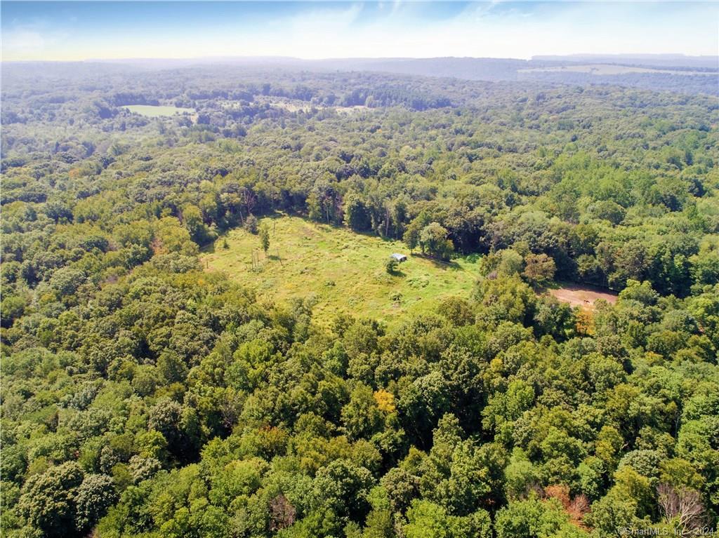 a view of a city with lush green forest