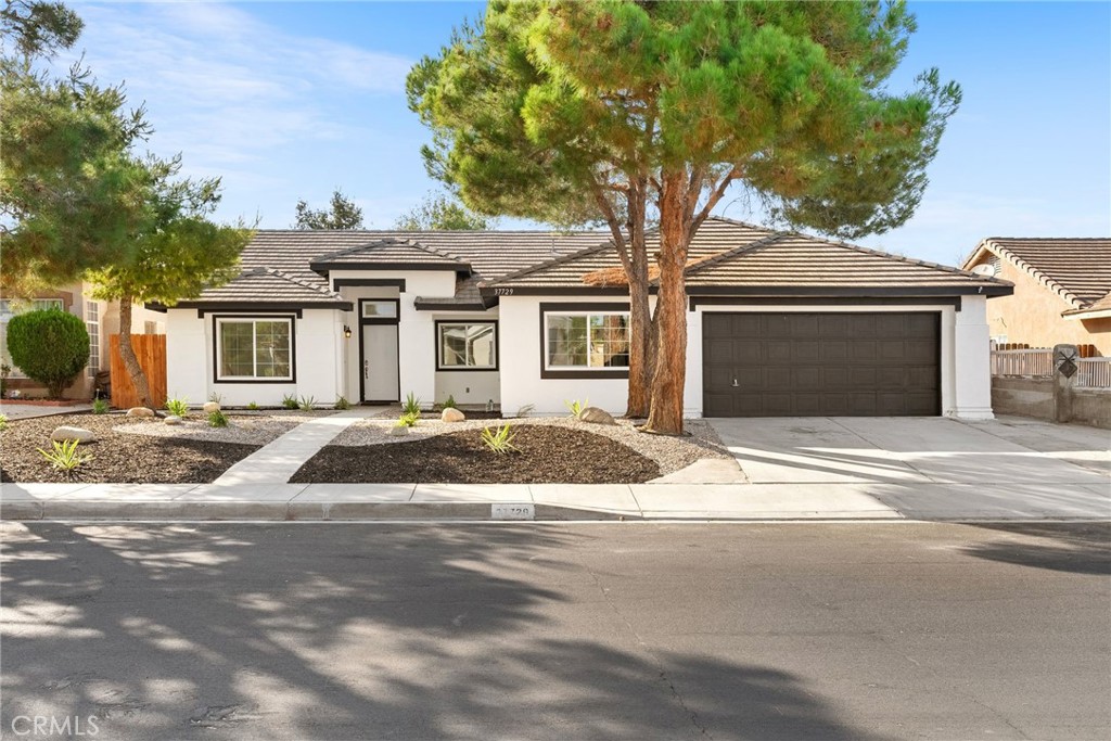 a house that has a tree in front of it