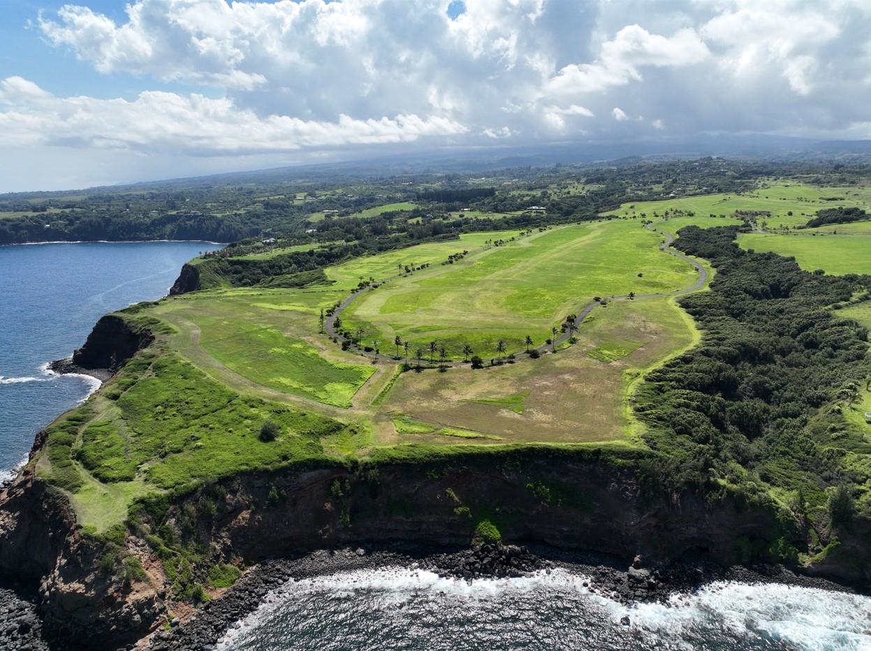 a view of a garden with an ocean