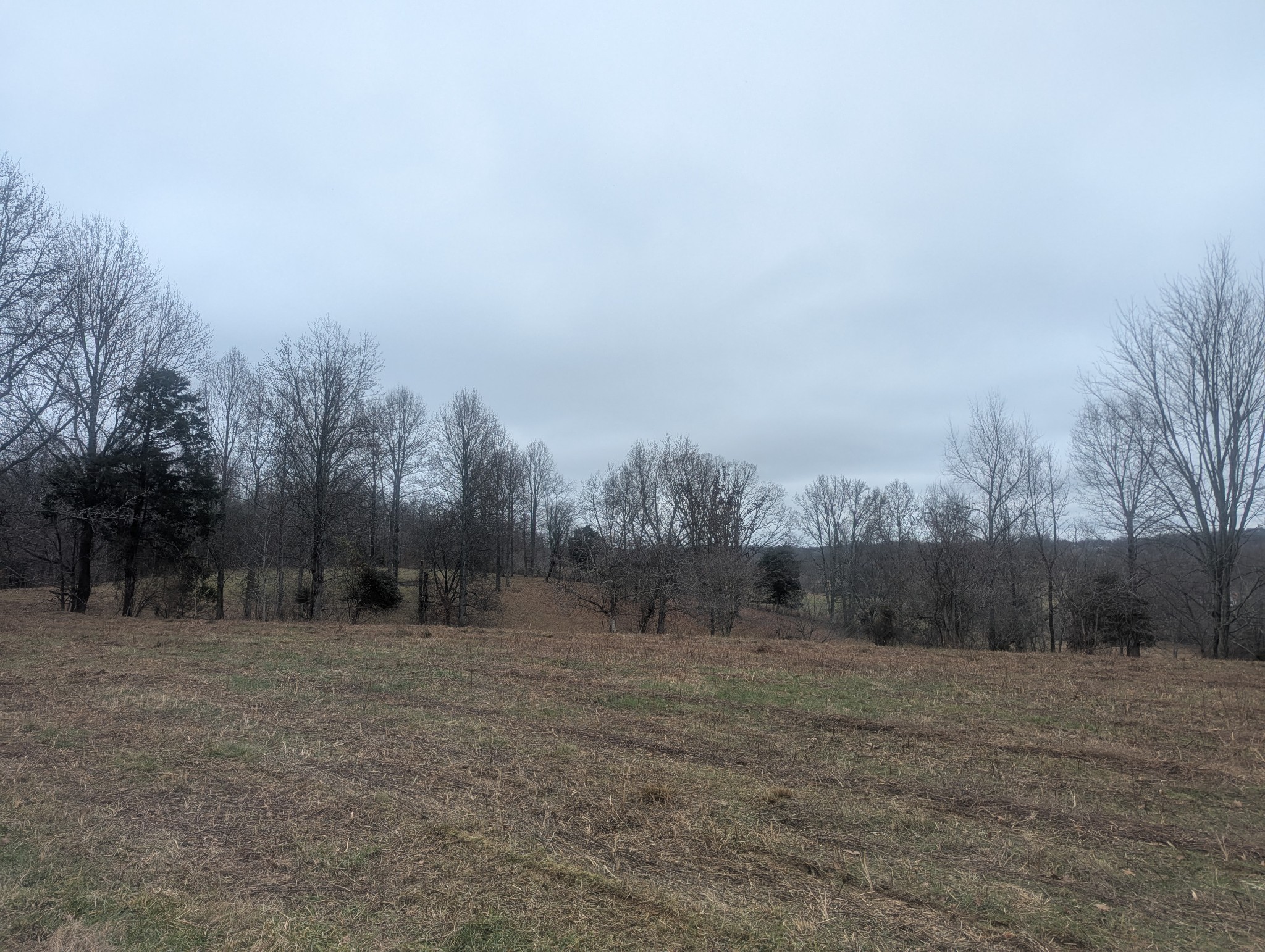 a view of a open space with green field and trees