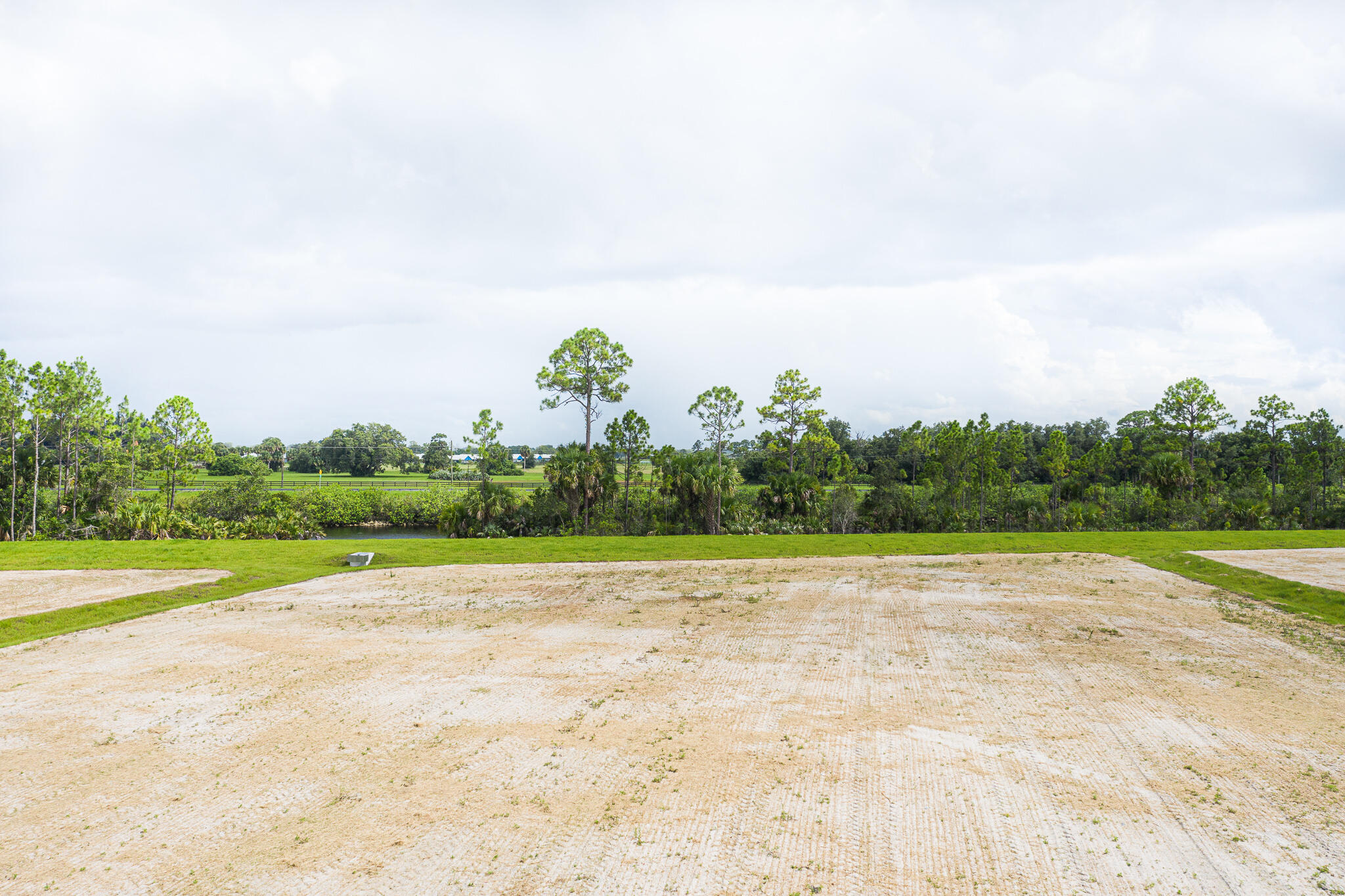 a view of a field with an trees