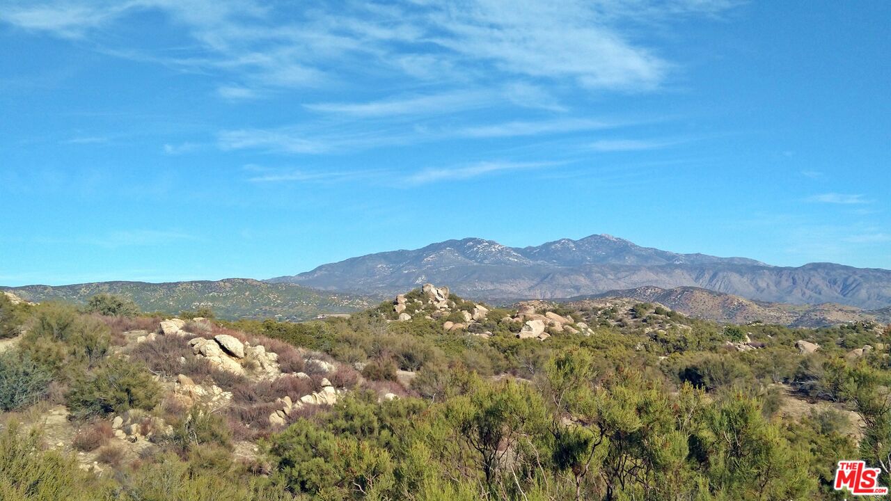 a view of a mountain range with lush green forest