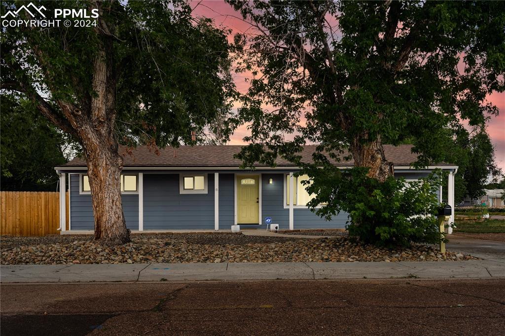 front view of house with a tree