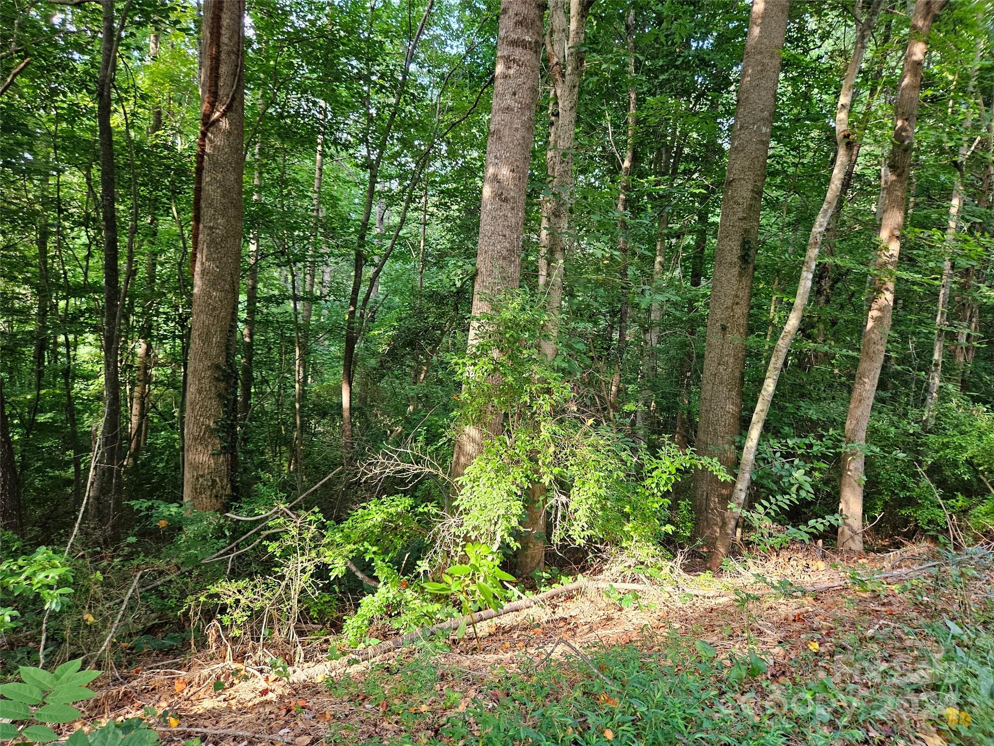 a view of outdoor space and green space