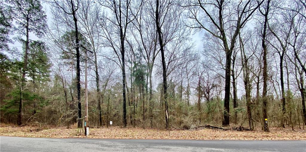 a view of outdoor space with lots of trees