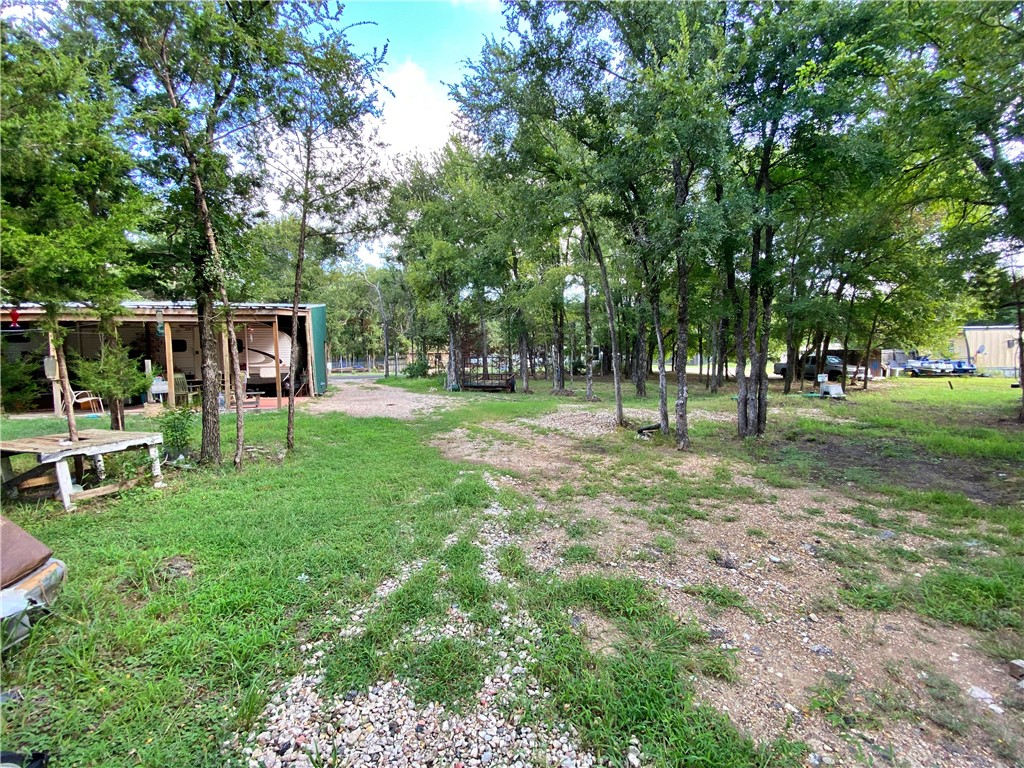 a view of a park with trees and grass