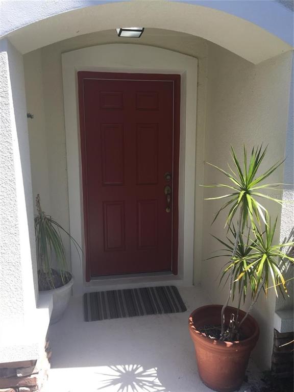 a potted plant sitting in front of a door