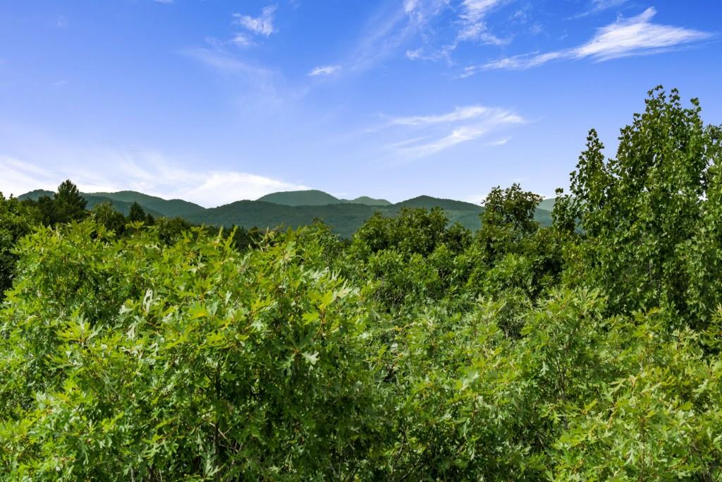 a view of a lush green forest with mountains in the background