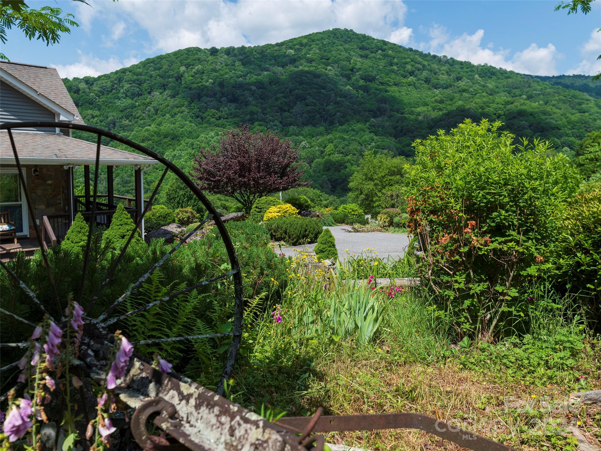 a view of a garden