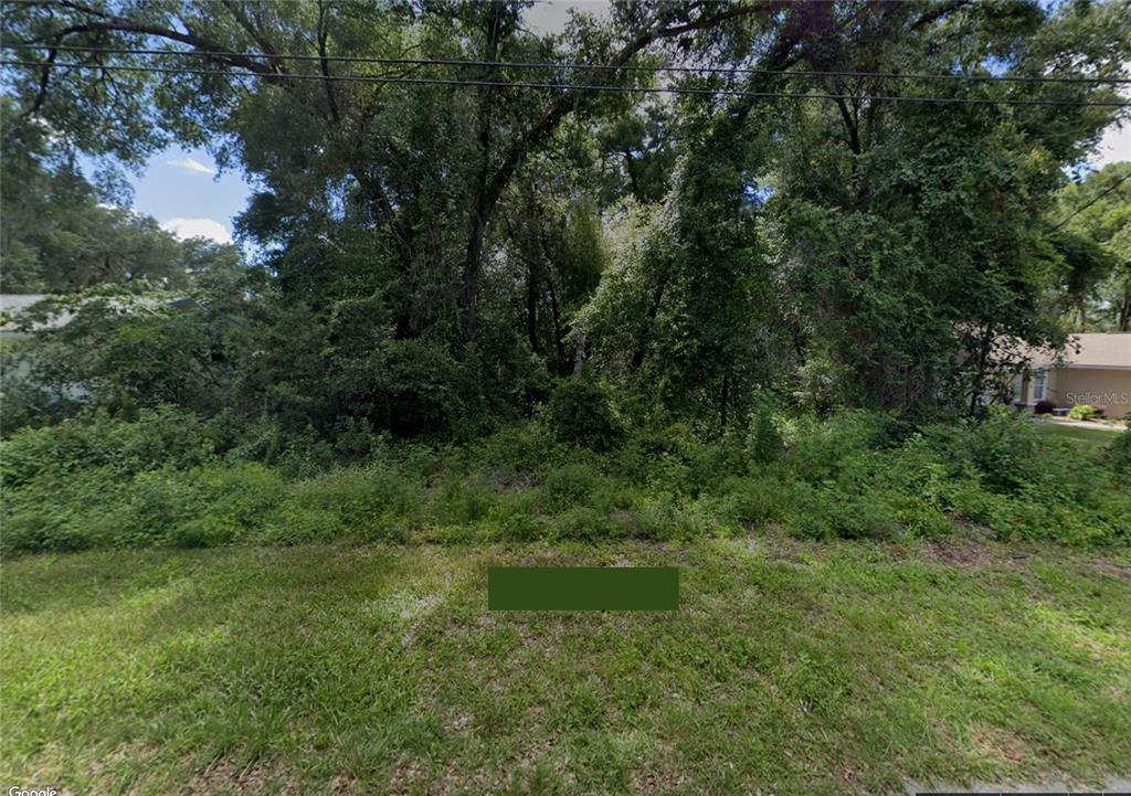 a view of a lush green forest with lots of trees