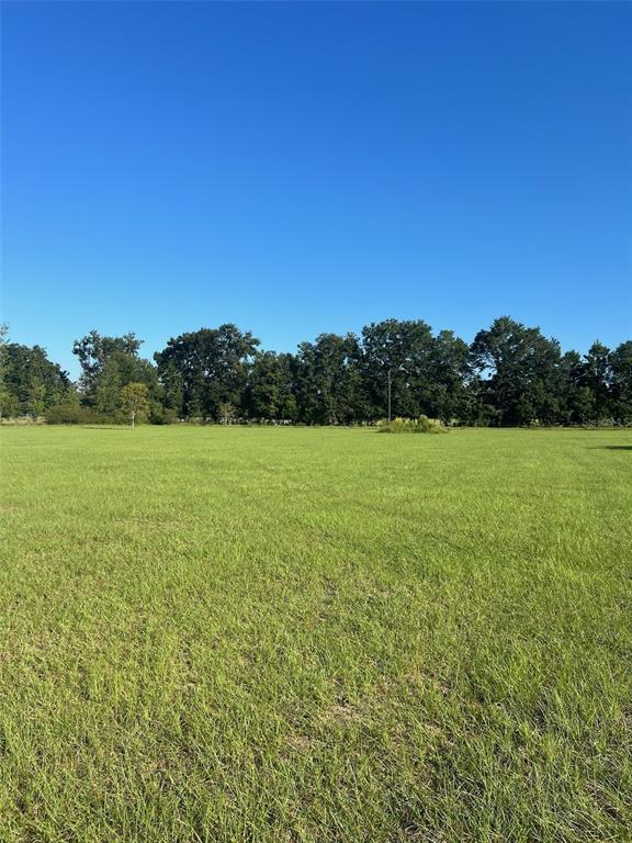 a view of a field with a yard