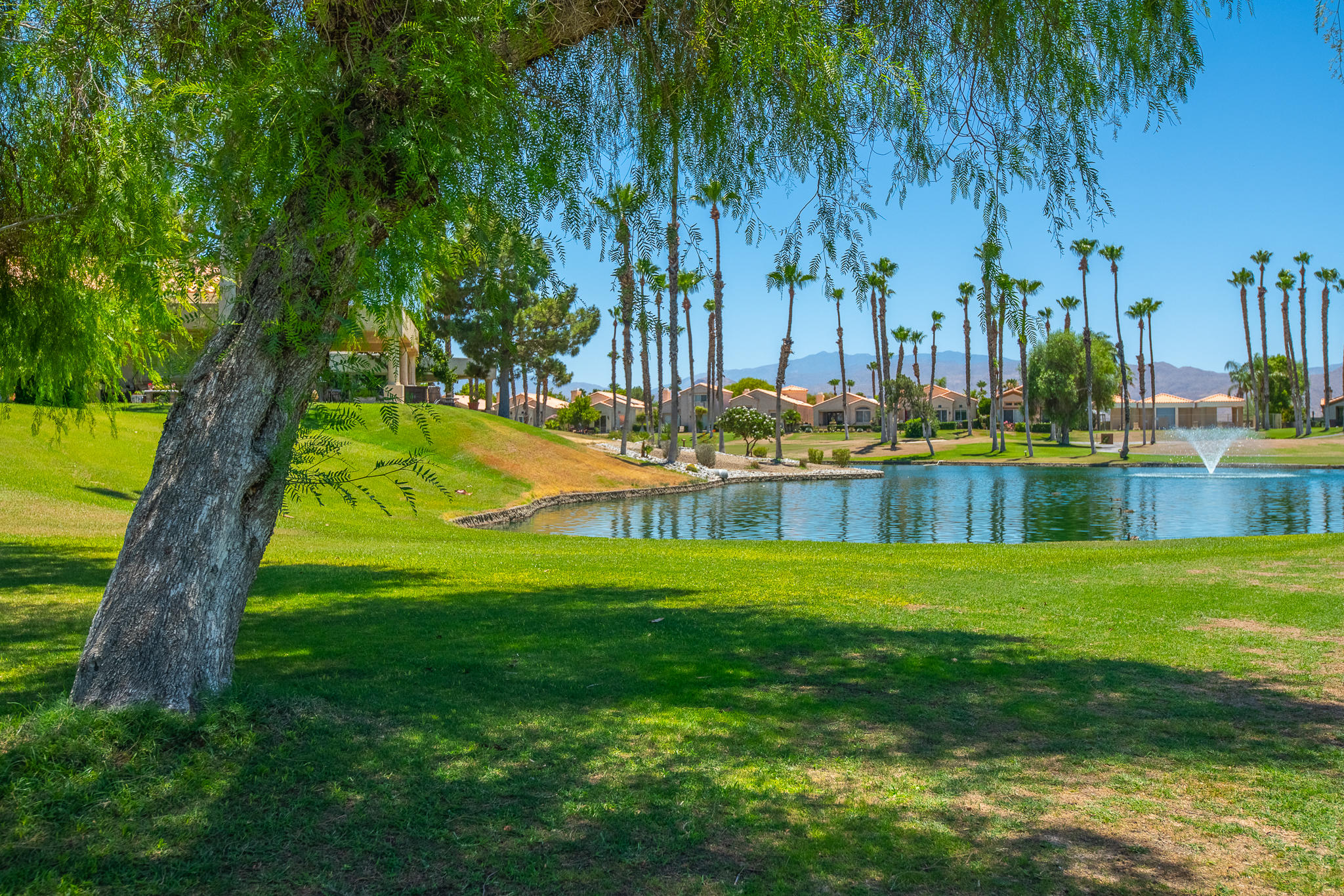 a view of a park with a big yard