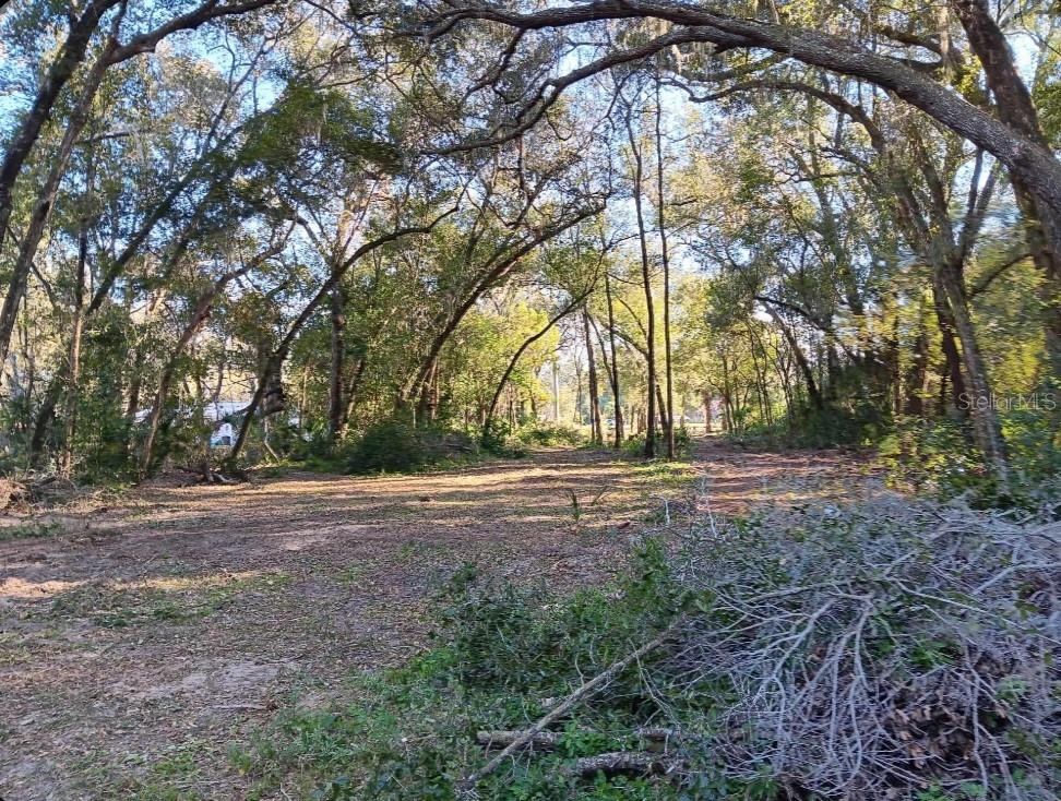 a view of dirt yard with a trees