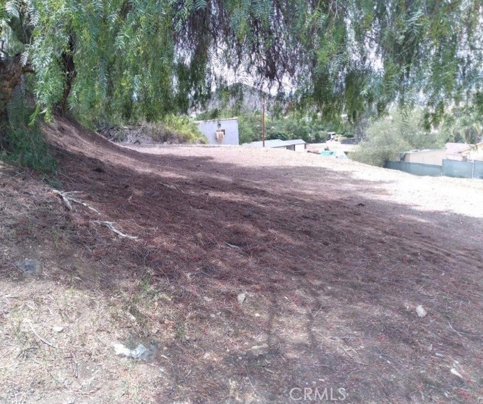 a view of a yard with a tree