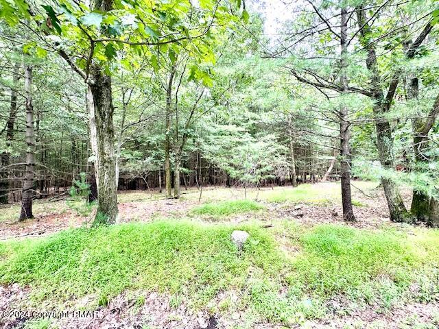 a view of backyard with green space