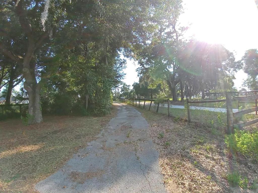 a view of a yard with a tree