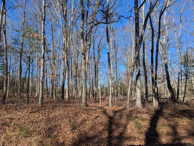 $50,000 | Lot 11 Mahls Pond Road | Tusten