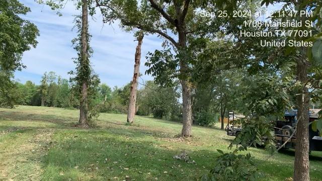 a view of outdoor space with trees all around