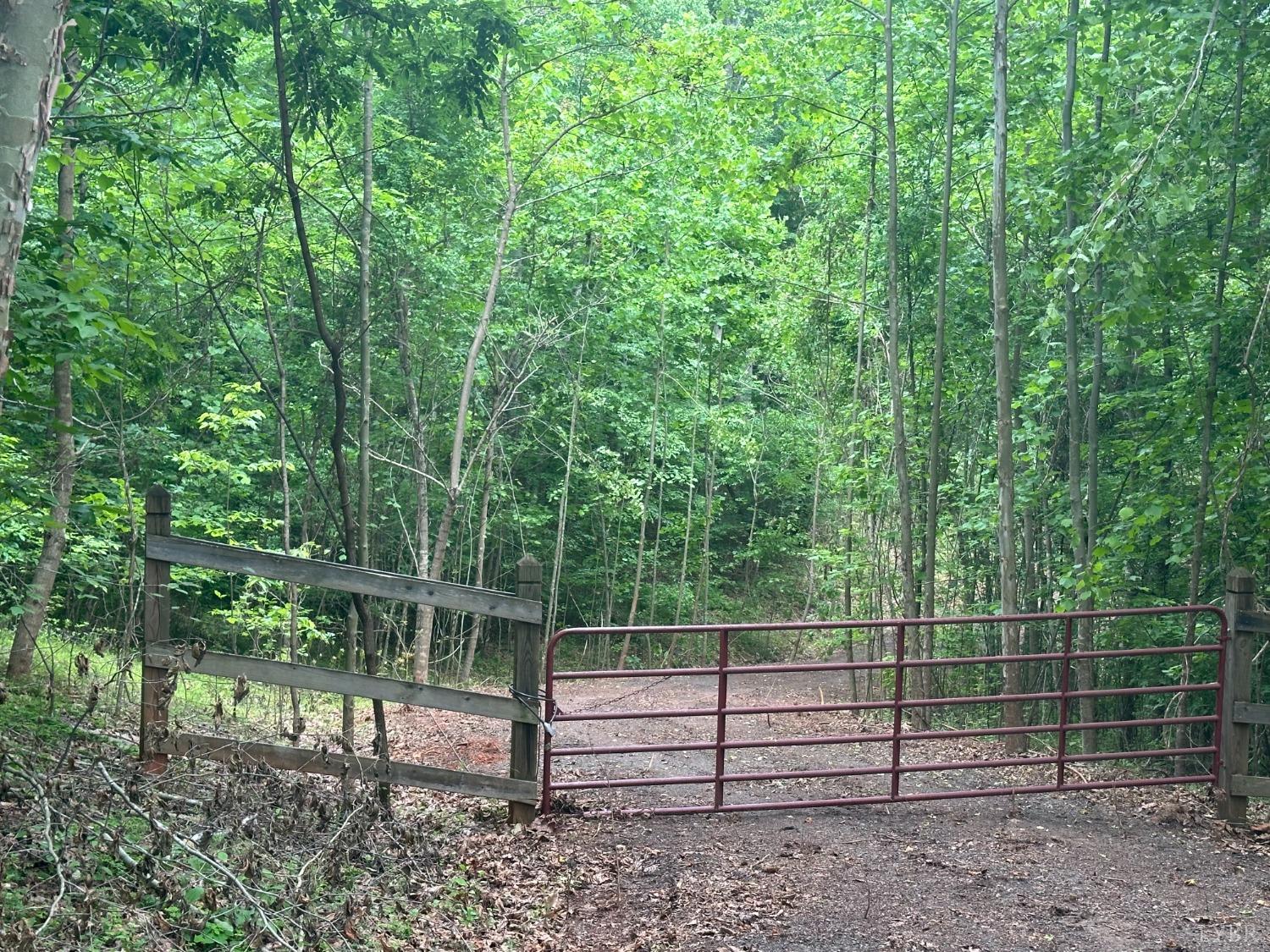 a view of a yard with a wooden fence