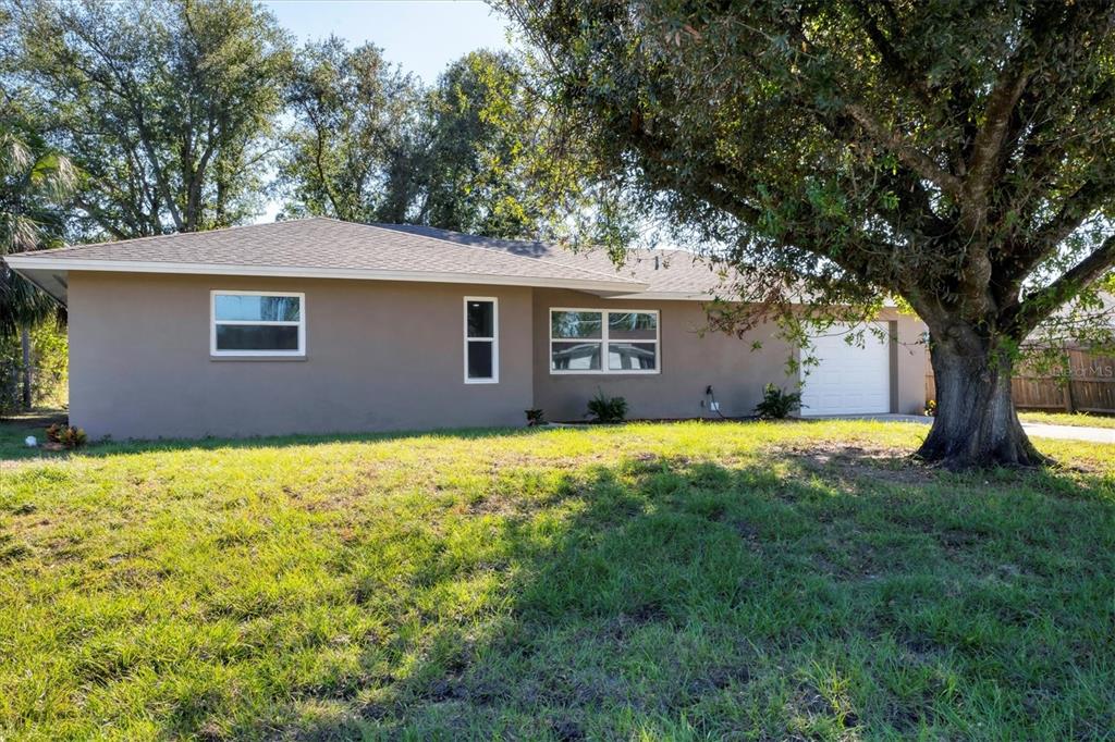 a house with a tree in front of it