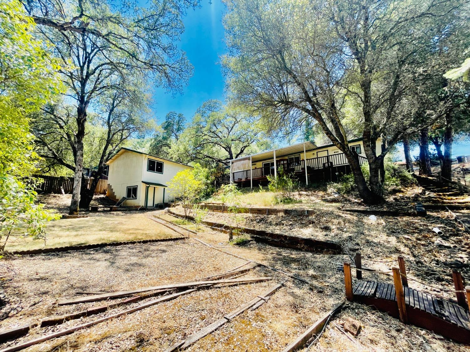 a view of a yard with plants and trees