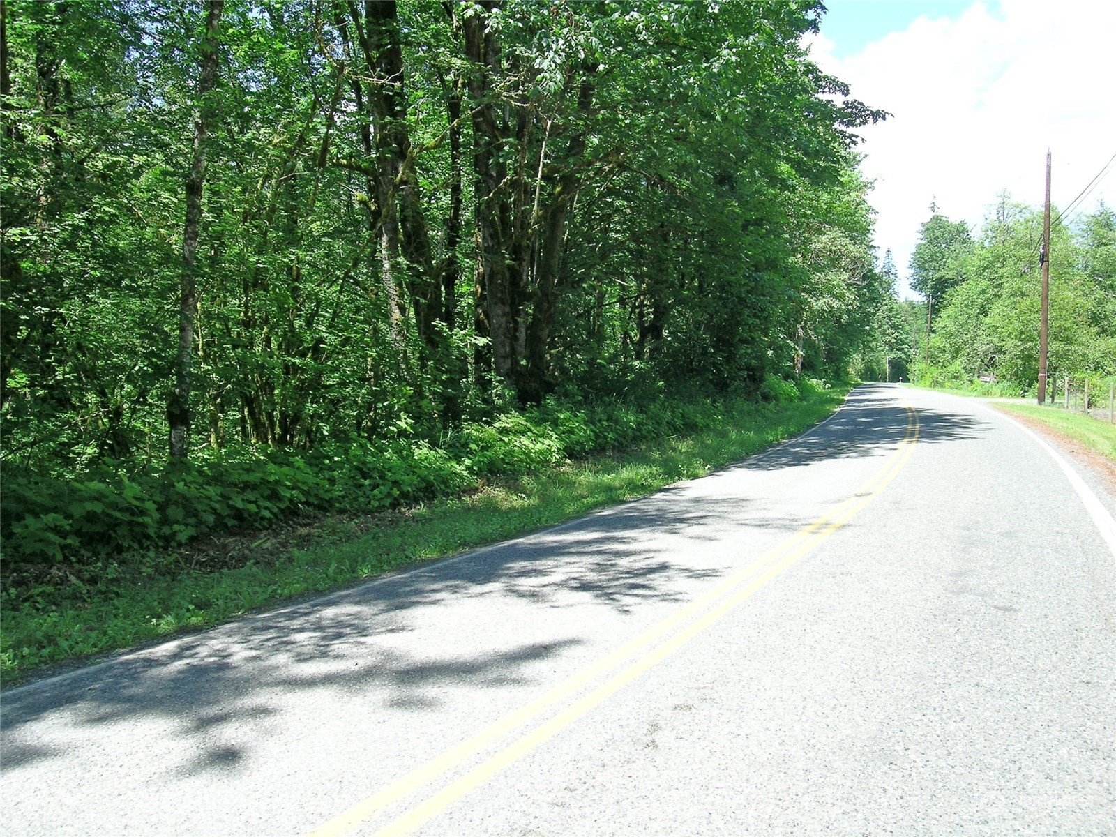 a view of a street with a trees