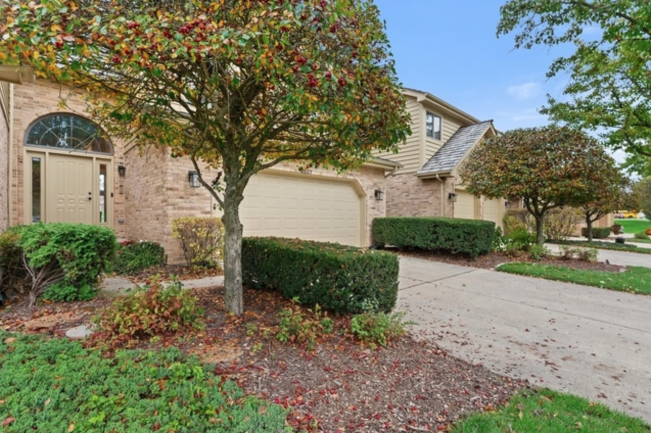 a view of a yard with plants and a large tree