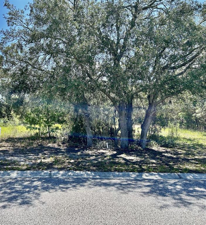 a view of a fire pit with large trees