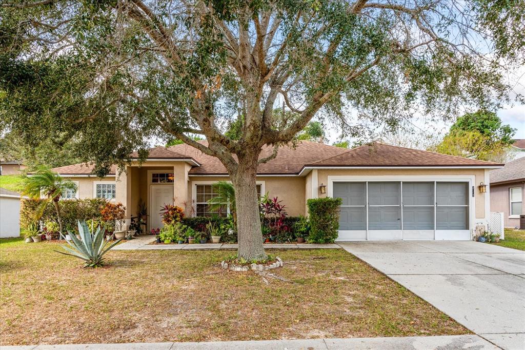 front view of a house with a tree