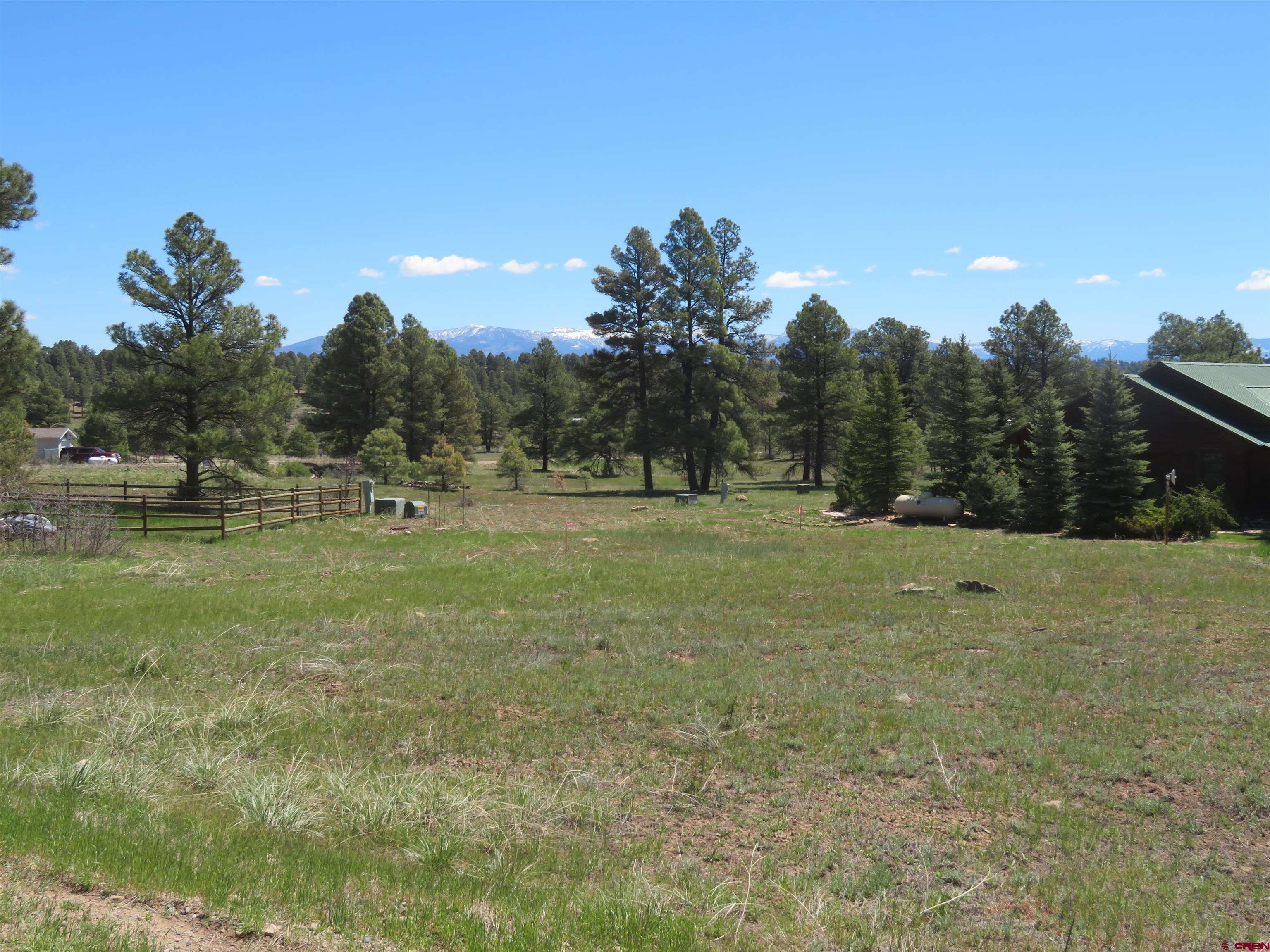 a view of outdoor space with trees all around