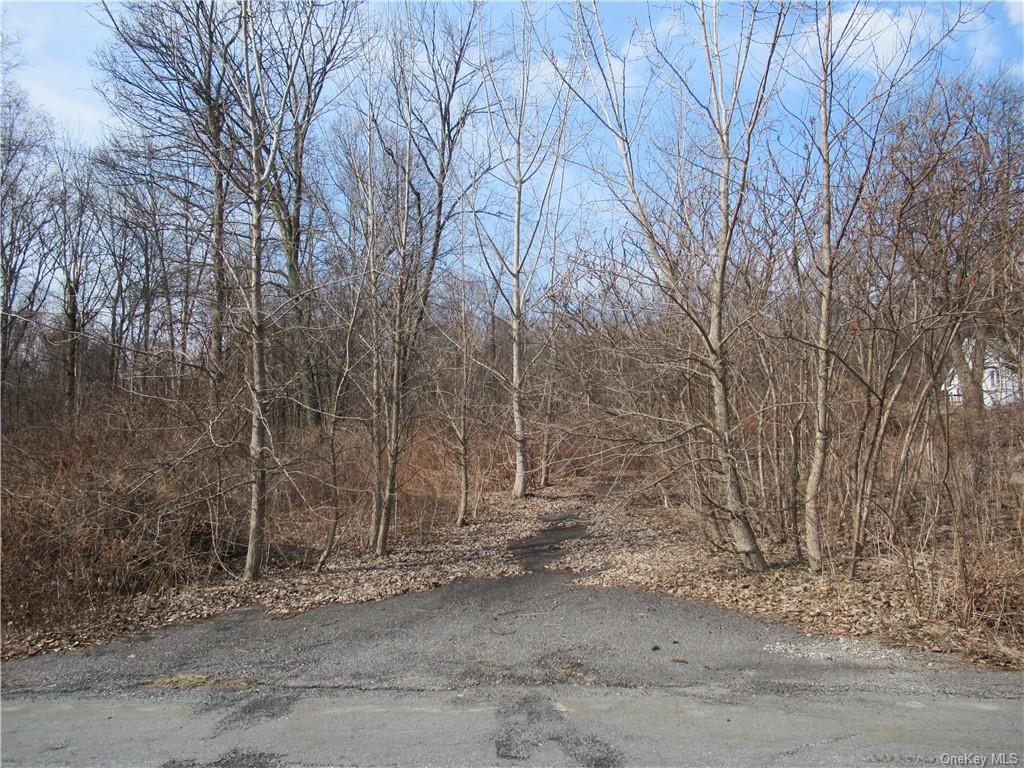 a view of a yard with trees