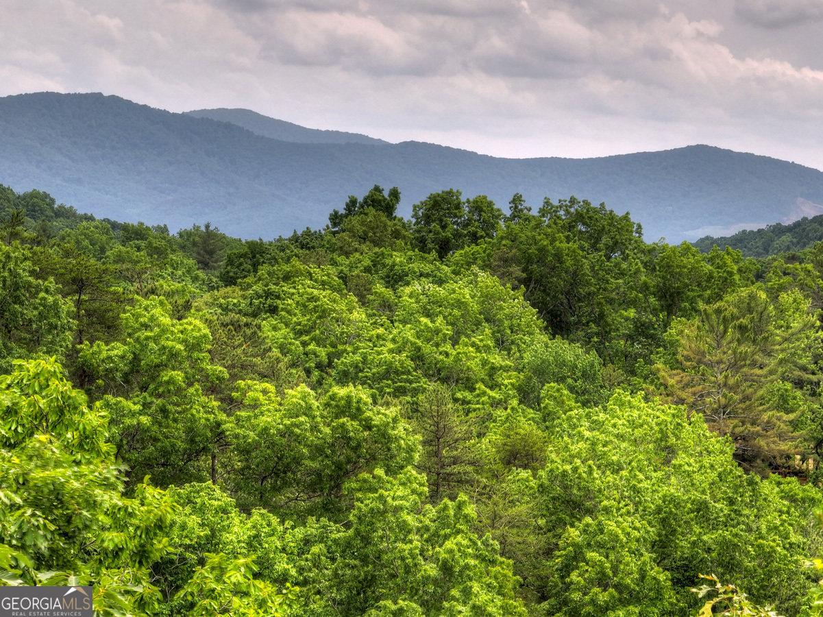 a view of a lush green hillside and a mountain